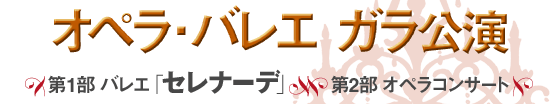 オペラ・バレエ　ガラ公演