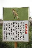 かんばん