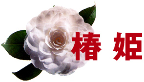 ֕P