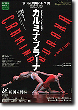 チラシ