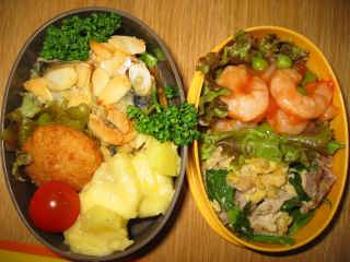 �t���[��