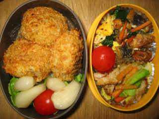 �t���[��