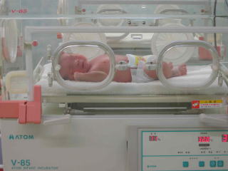 �t���[��