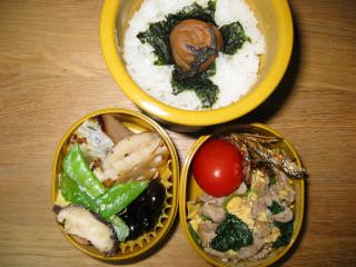 �t���[��