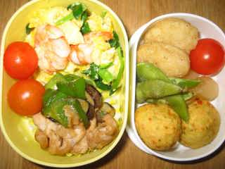 �t���[��