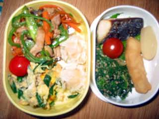 �t���[��